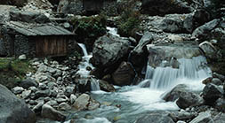 Mountain Stream